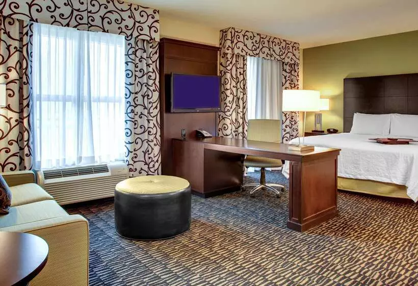 Hampton Inn & Suites Baton Rouge Downtown