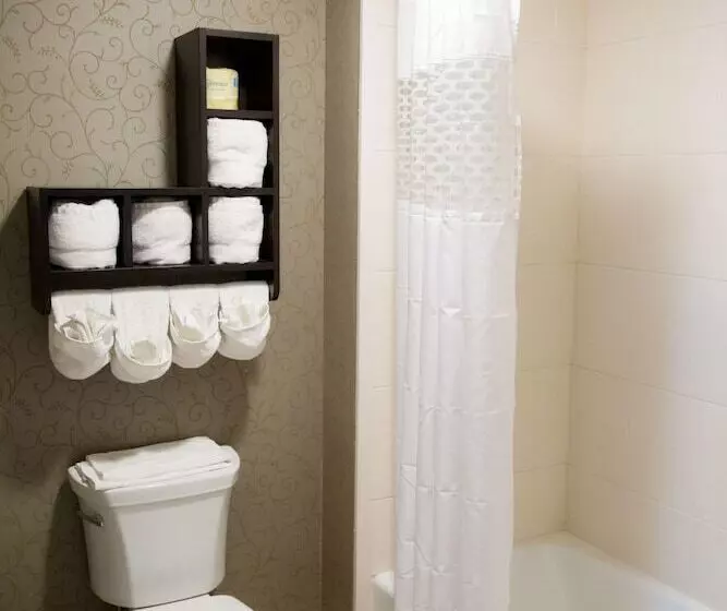 Hampton Inn & Suites Baton Rouge Downtown