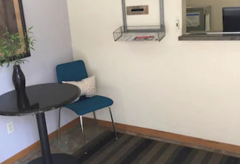 فندق Airport Lodge