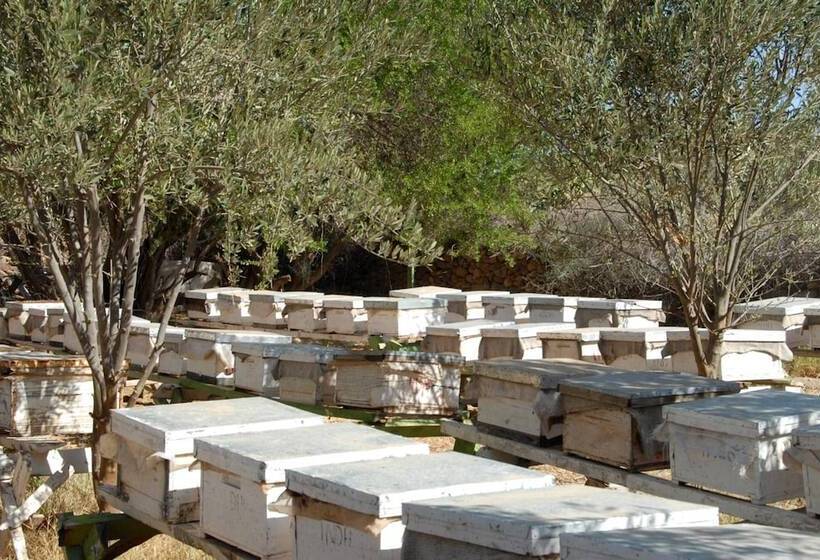 Отель Al Adarissa