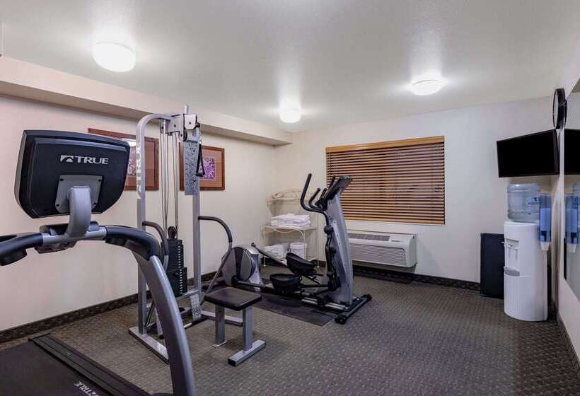 ホテル Americinn By Wyndham Havre