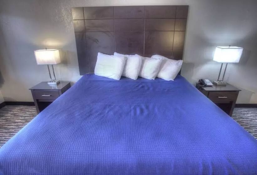 בית מלון כפרי Budgetel Inn And Suites Plus Helen