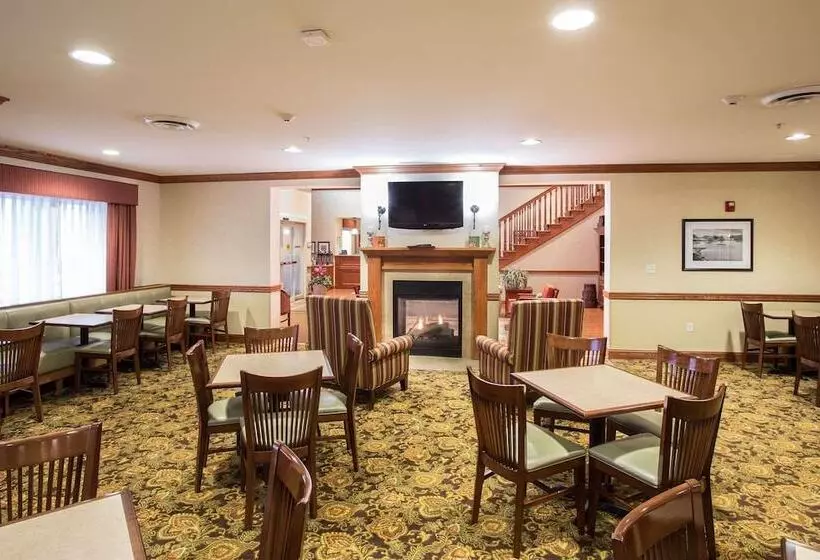 酒店 Country Inn & Suites By Radisson, Buffalo South I90, Ny