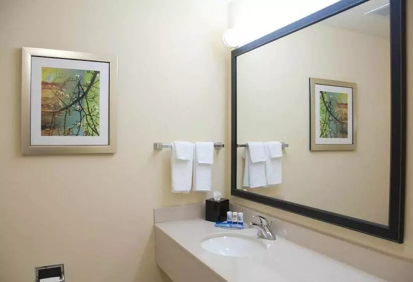 ホテル Fairfield Inn & Suites Ames