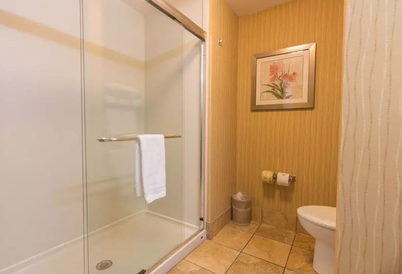 Отель Hampton Inn Bangor