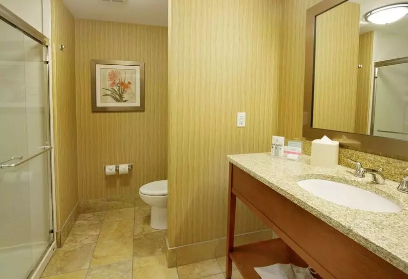 Отель Hampton Inn Bangor