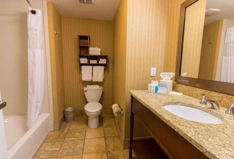 Отель Hampton Inn Bangor