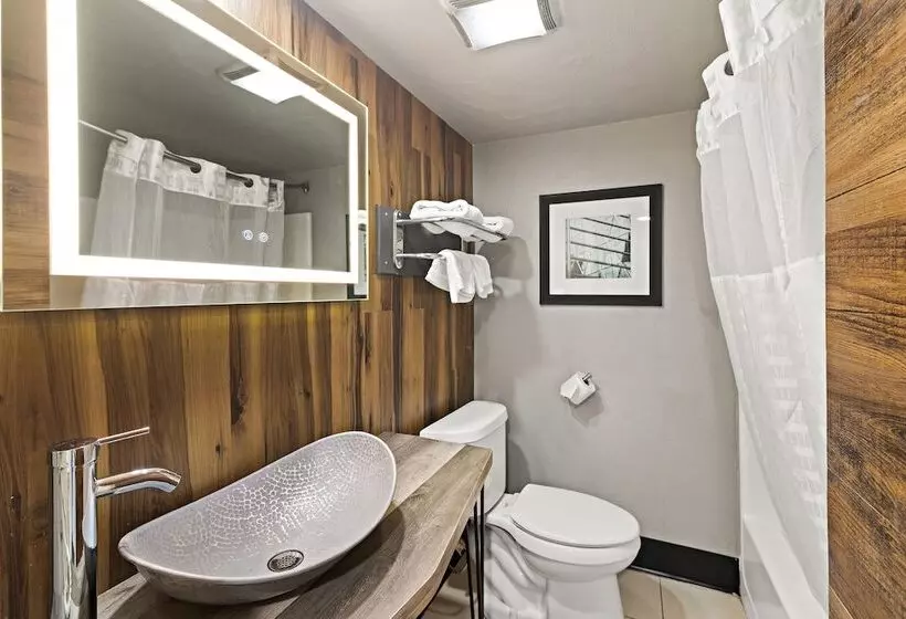 ホテル Scottish Inns Austin Downtown