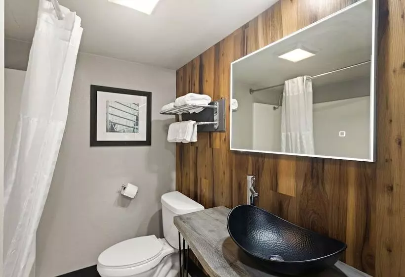 ホテル Scottish Inns Austin Downtown
