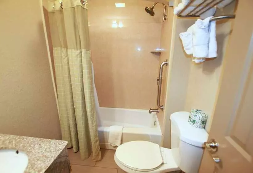 בית מלון כפרי Travel Inn & Suites Flemington