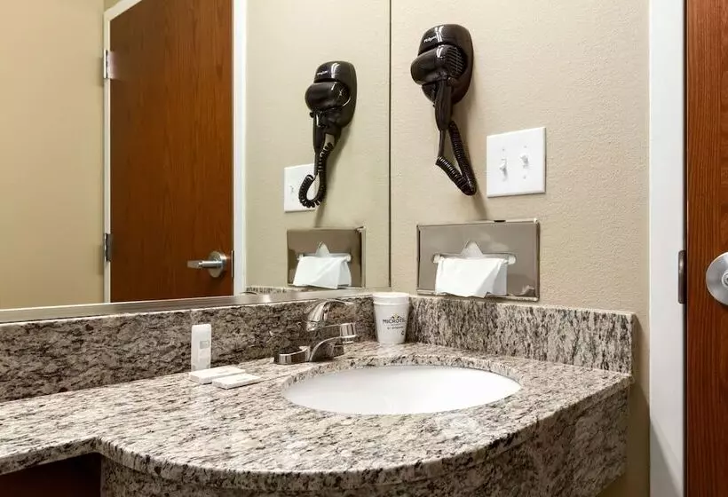 Microtel Inn & Suites By Wyndham