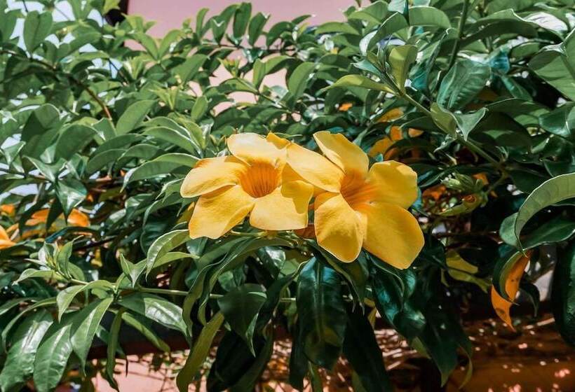 Hotel Residencial Bahia Do Sonho