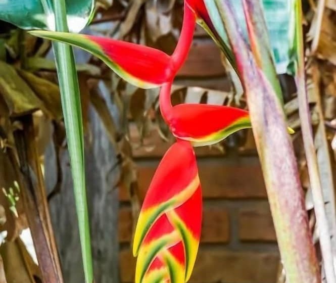 Hotel Residencial Bahia Do Sonho