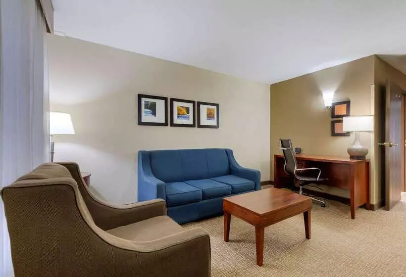 호텔 Comfort Suites Near Potomac Mills