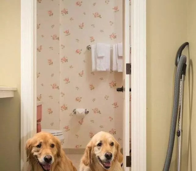 ホテル Lake Opechee Inn And Spa