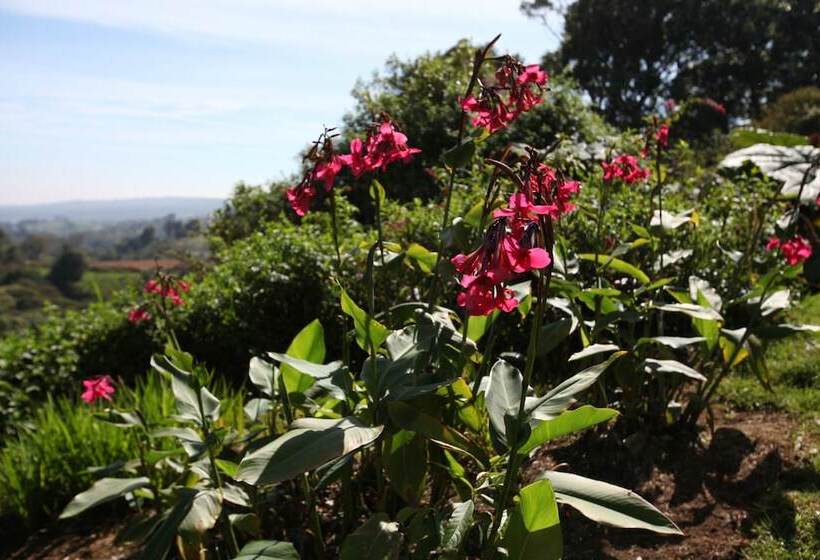 Отель Poas Volcano Lodge