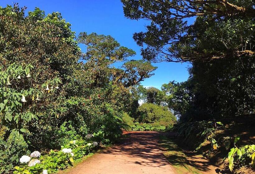 Отель Poas Volcano Lodge