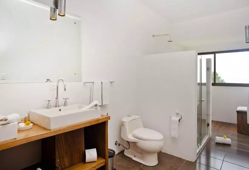 فندق Poas Volcano Lodge