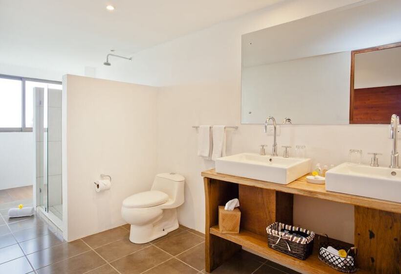 Отель Poas Volcano Lodge