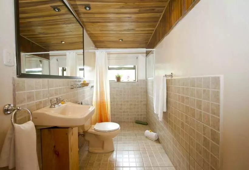 فندق Poas Volcano Lodge