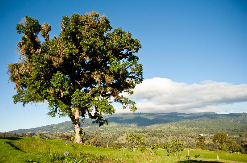 Отель Poas Volcano Lodge