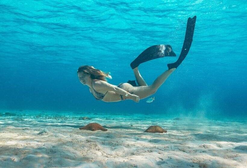 منتجع Grand Oasis Tulum Riviera