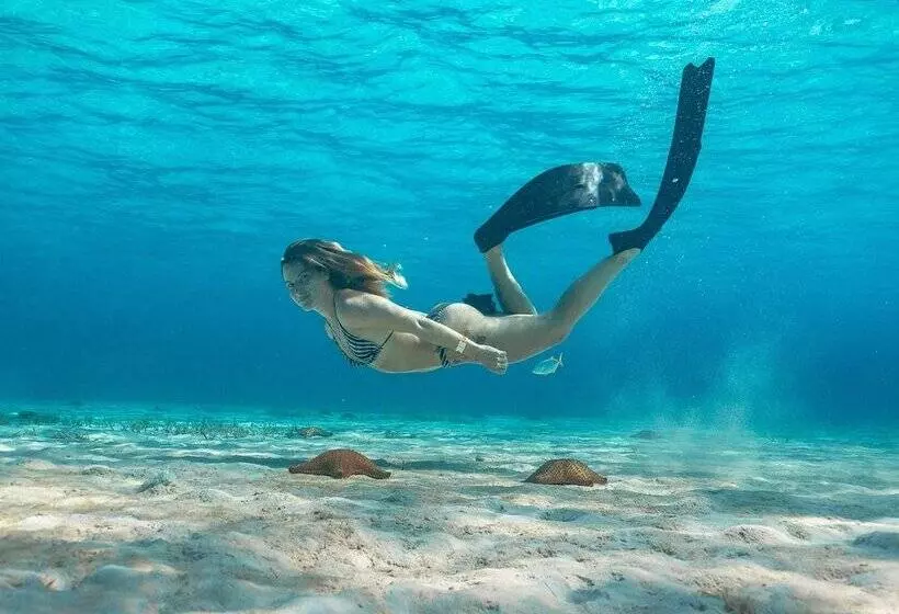 استراحتگاه Grand Oasis Tulum Riviera