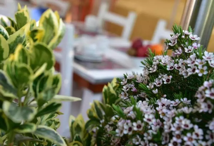 Bed and Breakfast Quodlibet