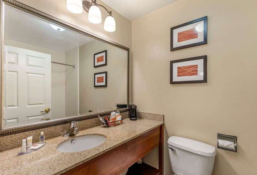 Comfort Inn Saint George North