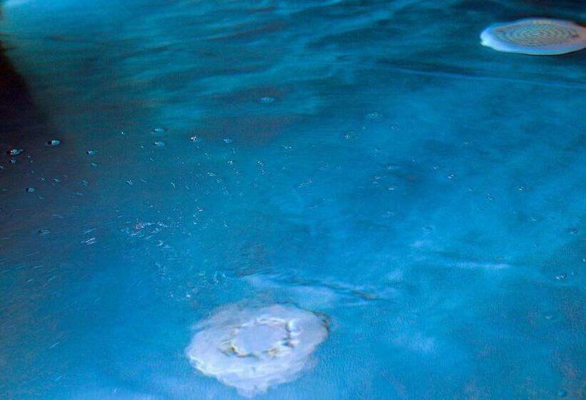 فندق Albergo Caffe Centrale