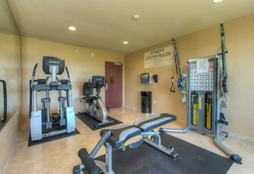 Отель Cobblestone Inn & Suites Holyoke