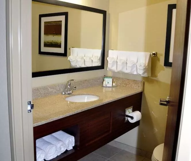 Отель Cobblestone Inn & Suites Holyoke