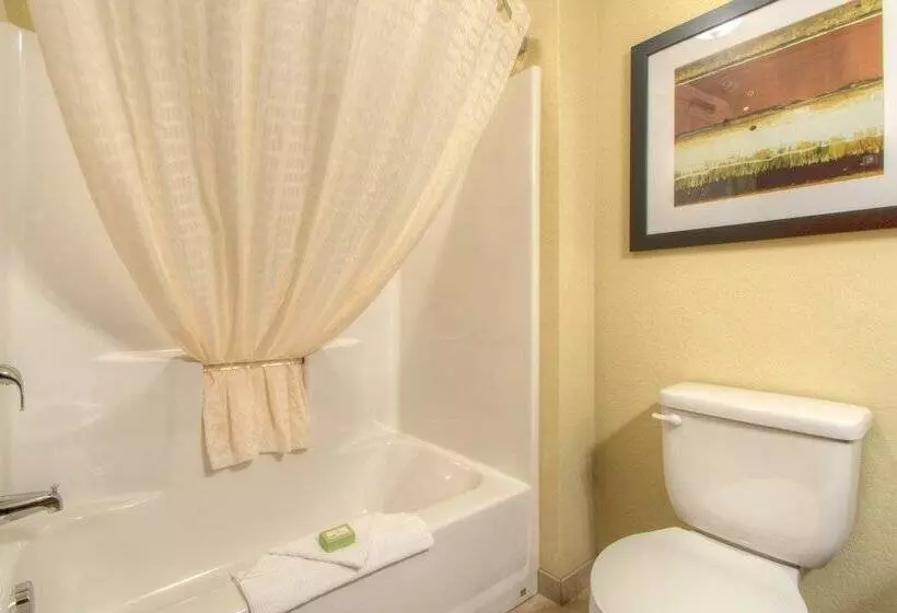 Отель Cobblestone Inn & Suites Holyoke