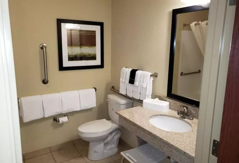 Отель Cobblestone Inn & Suites Holyoke