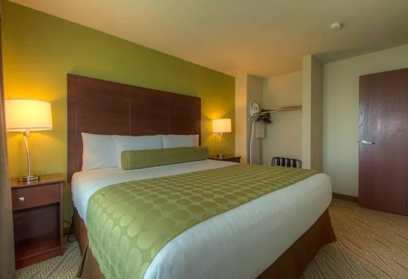 Отель Cobblestone Inn & Suites Holyoke