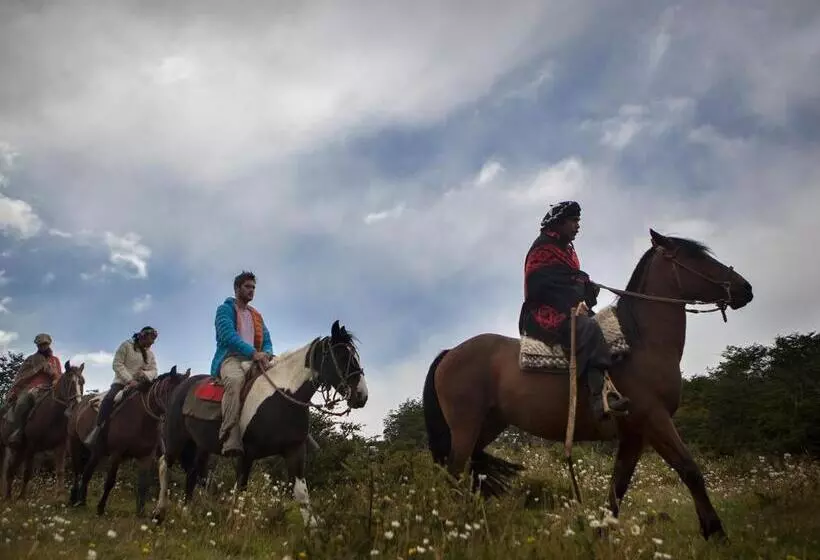 酒店 Noi Indigo Patagonia