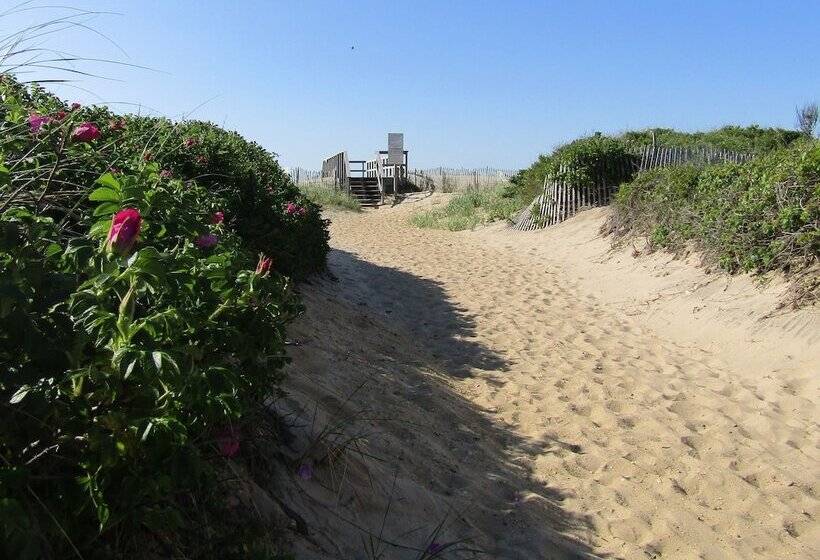 汽车旅馆  Sole East Beach