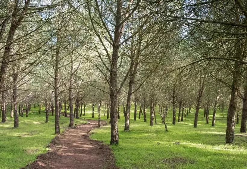 Quinta Dos Machados Countryside Hotel & Spa