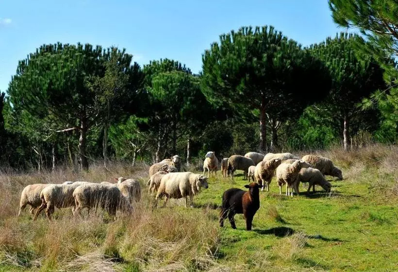 Quinta Dos Machados Countryside Hotel & Spa