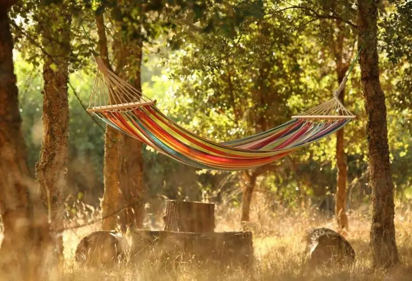 Quinta Dos Machados Countryside Hotel & Spa