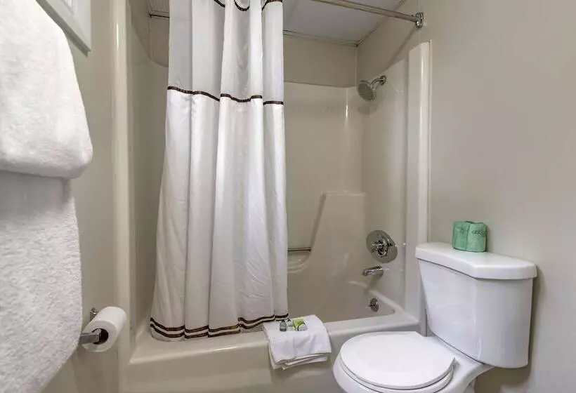 ホテル Anchor Inn And Cottages Wellsogunquit