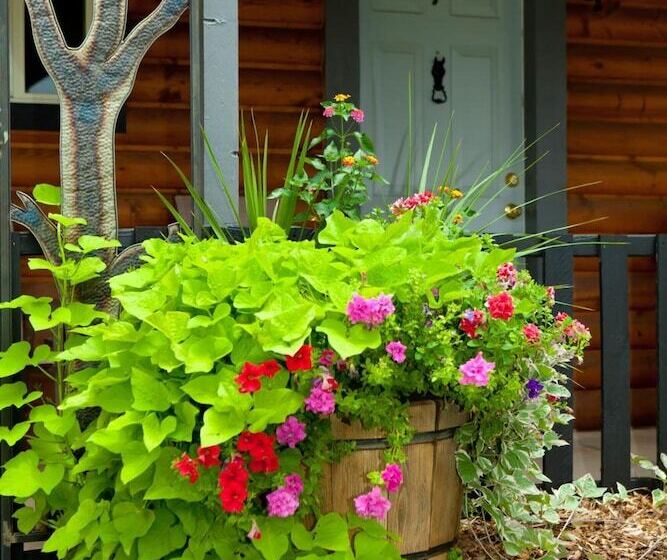 בית מלון כפרי Canyons Lodge A Canyons Collection Property