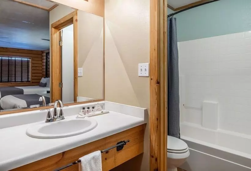 Hotel Canyons Lodge A Canyons Collection Property