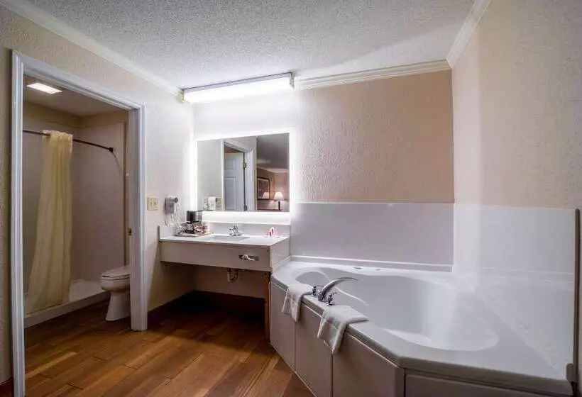 酒店 Econo Lodge Inn & Suites Cayce I 26 Airport