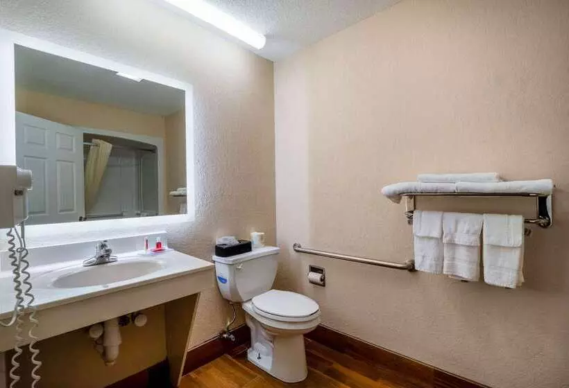 酒店 Econo Lodge Inn & Suites Cayce I 26 Airport