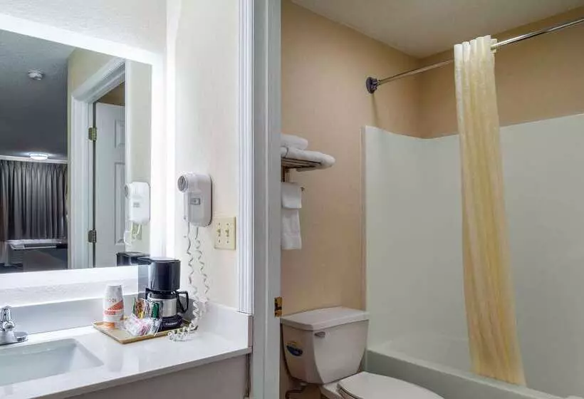 酒店 Econo Lodge Inn & Suites Cayce I 26 Airport