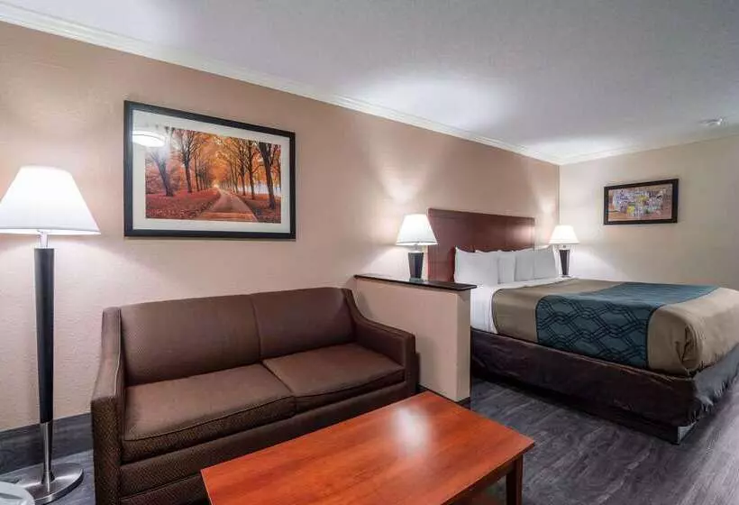 酒店 Econo Lodge Inn & Suites Cayce I 26 Airport