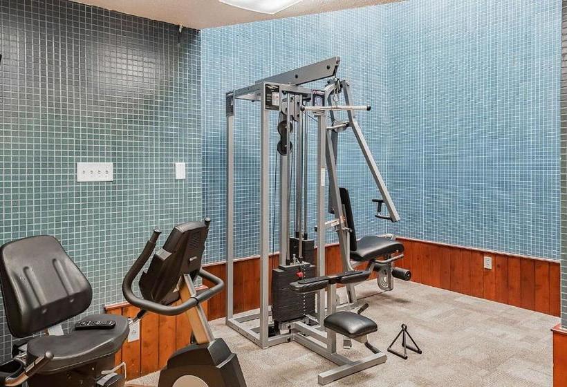 酒店 Executive Thibodaux New Orleans