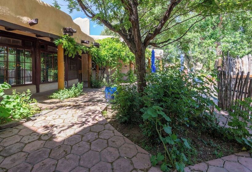 酒店 Inn On La Loma Plaza