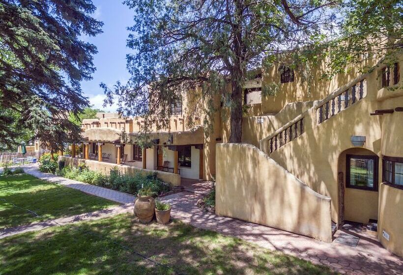 酒店 Inn On La Loma Plaza